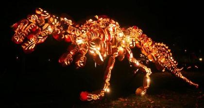 Photo by Tom Nycz. Photo by Tom Nycz.