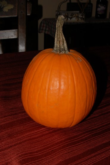 They grow up so fast.