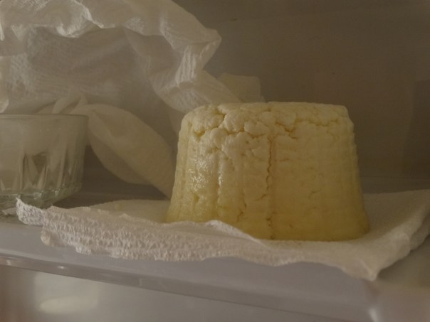 Our cheese aging in the fridge.