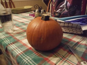 This is a sugar pumpkin