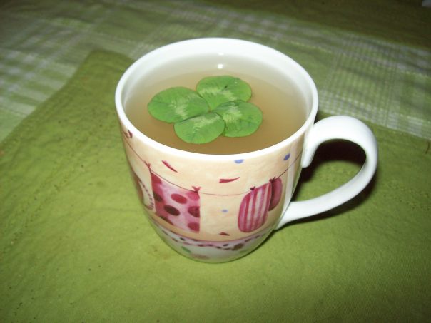 966130_10200714179472135_619543005_o